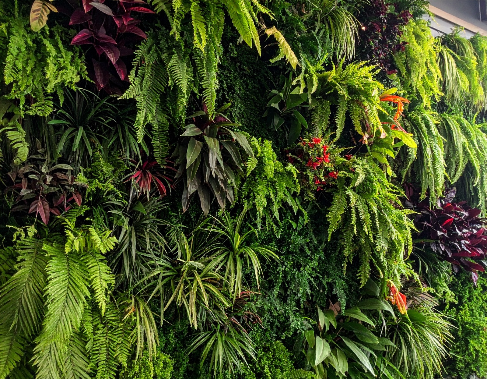 Yapay Bitki Uygulamaları